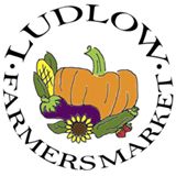 578976_379196455449902_740076667_n